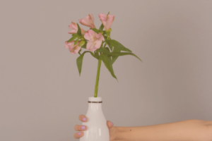 5 Everyday Items You Can Repurpose for Your Travels