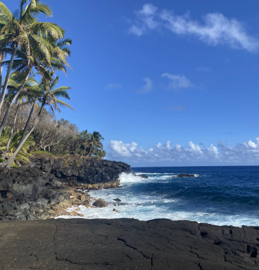 5 Stunning Black Sand Beaches on the Big Island of Hawaii You Must Visit
