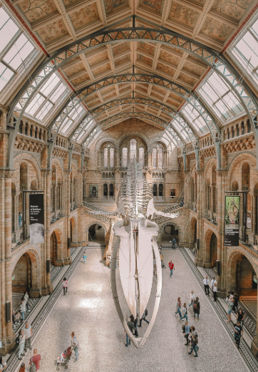 11 Must-Visit Free Museums in London