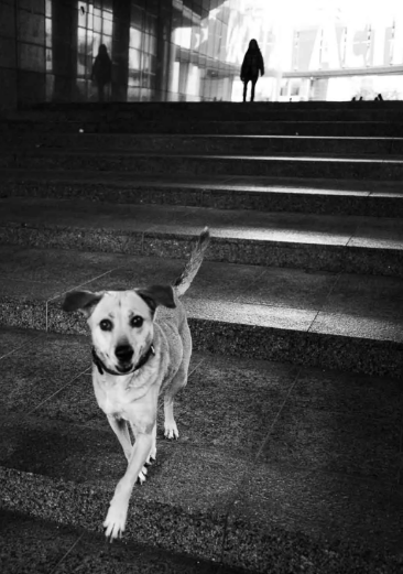 Photo Diary: October 2024 – A Month of Photography and Adventures