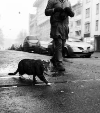 Exploring the Different Styles of Street Photography