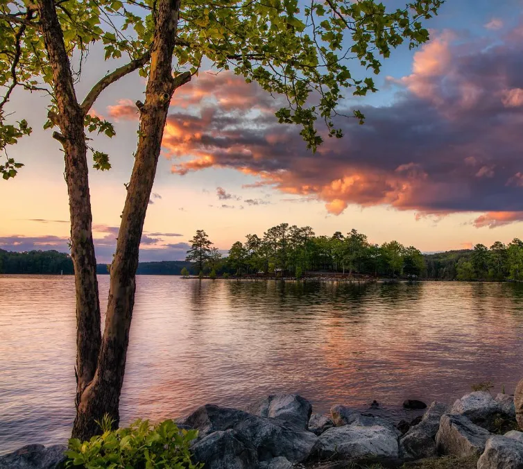 Red Top Mountain State Park: A First-Time Visitor’s Guide to Georgia’s Scenic Retreat