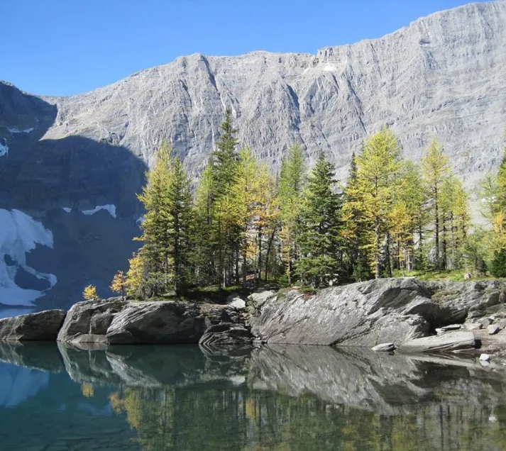 Kootenay National Park: The Ultimate First-Time Visitor’s Guide