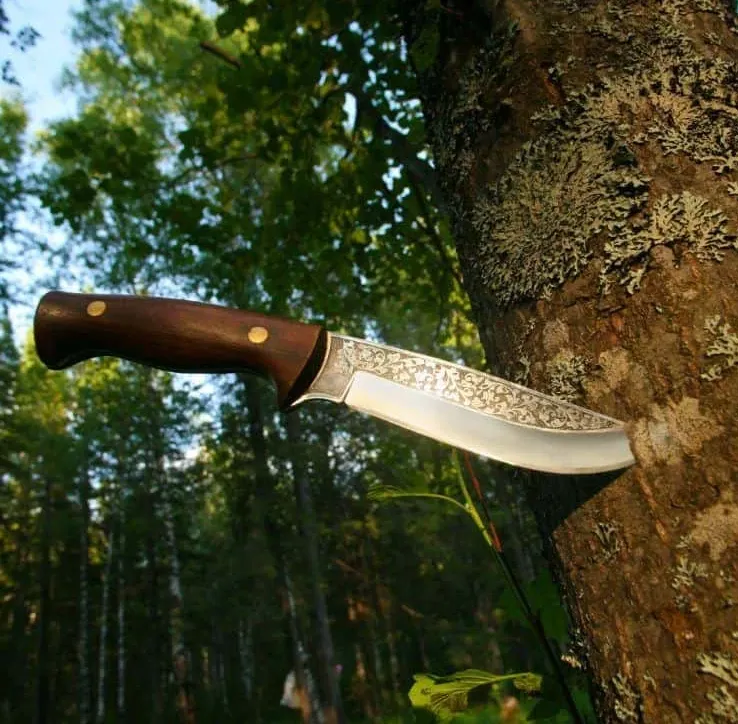 Choosing the Right Survival and Bushcraft Knife: A Comprehensive Guide