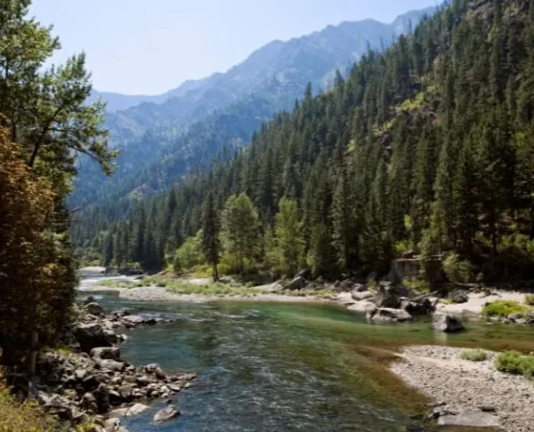 The Real Path to Wilderness Survival: Experience Over Theory