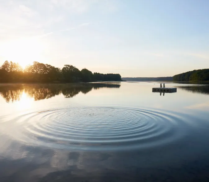 Essential Survival Skills: Staying Calm and Prepared in Any Situation