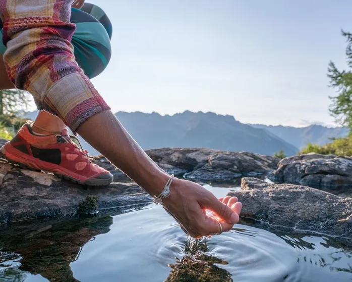 How to Locate and Purify Water in the Wilderness