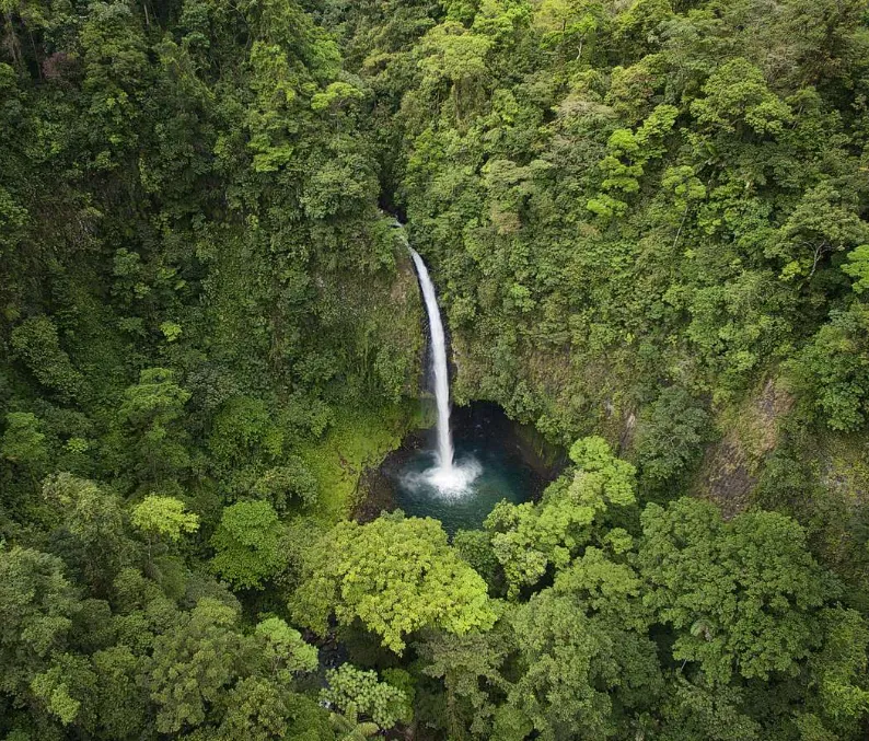 Costa Rica Jungle Adventure: A Journey of Survival and Reconnection