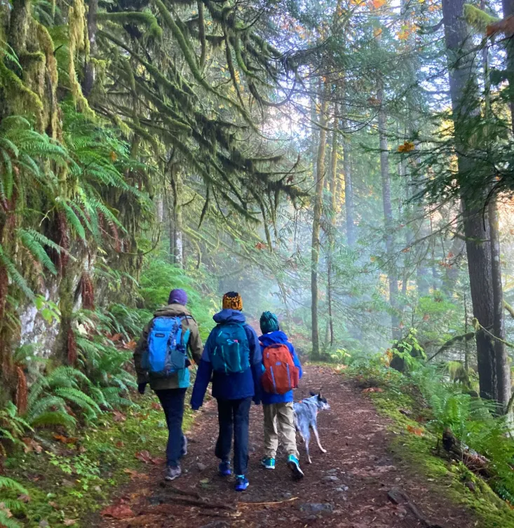 Essential Tips for Hiking Around Seattle