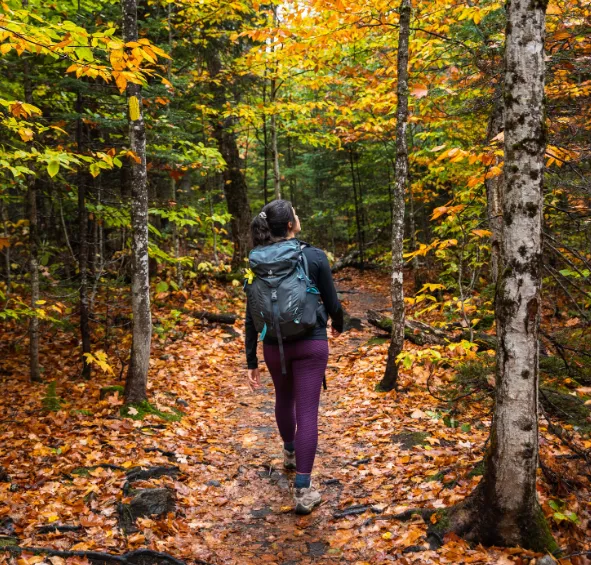 A Beginner’s Guide to Choosing the Perfect Hiking Trail